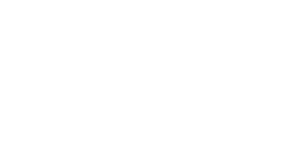 FAVE_Logo_CMYK NEG